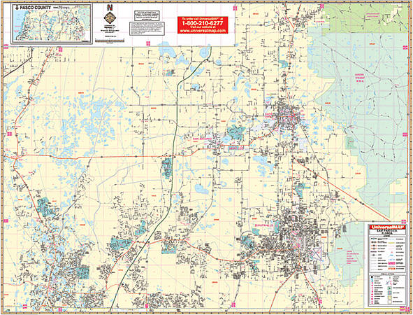 Pasco County East WALL Map, Florida, America.