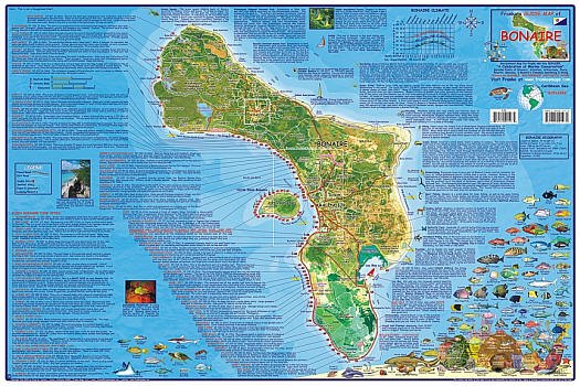 tourist map of bonaire